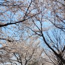 웅희농장 이미지