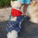 미미하우스 이미지