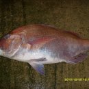 고향음식 이미지