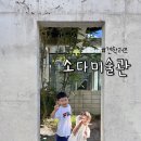 소다미술관 | 아이와 다녀오기 좋은 소다 미술관 방문 후기(주차정보 및 카페, 포토존 추천)