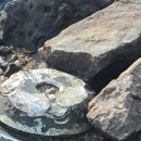 철원초등학교 이미지