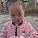 캔디클럽 - 서구 완정로 160 | 이마트 트레이더스 크리스마스 간식 추천 윈터 스윗 캔디 팝스 구매후기