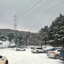 꼬마연못 | 포천 고모리 꼬마연못 솥뚜껑닭도리탕 후기