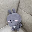 메디팜삼현약국
