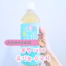 1458 | 아이도 좋아하는 맛있고 건강한 용평 1458 유기농 수국차