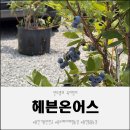블루베리체험농장과 용인동물농장을 한 번에 즐기는 헤븐온어스 후기