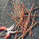 목골농장 이미지