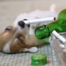 참좋은세상 이미지