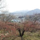 남부농원 이미지