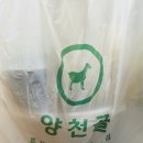 &lt;양천골흑염소요리전문점&gt; 서울 강서구 가양동 몸보신 제대로 하고 싶을 때 양천향교역 흑염소 맛집에서...