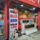 태중산아나고곰장어 이미지