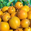 서기농장 이미지