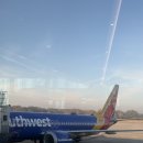 사우스웨스트 항공 보잉737 max8, 800 좌석 예약 미국 항공사 후기