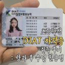 [덕계]파워포인트,사진편집 기초 | 우리 아이 첫 컴퓨터 자격증, DIAT(디지털정보활용능력) 취득 후기 및 활용법