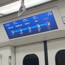 (주)토리메드 | 콘서트만큼 즐거웠던 6월의 서울여행