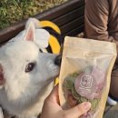 딸램들램 이미지