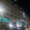 시티독 | 퇴근 후에 가기좋은 부산 애견운동장, 센텀시티 스포독 루프탑 애견운동장 할인 후기