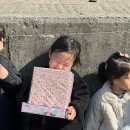 리틀블링 시크릿쥬쥬 별의 여신 메이크업 박스세트, 유아화장품 후기