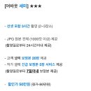 [결혼준비3.] 제주도 웨딩스냅 예약 및 제주도 웨딩스냅 예산 짜기(러바웃 스냅, 케이살롱)
