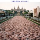 신한행정사 이미지