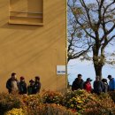 세화수목 이미지