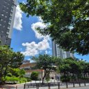 가고파 약국 이미지