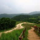 선학목장 Daum카페