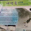마당바위유원지 Daum카페