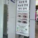 펄즈데뷰티
