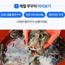 국내산마케팅 | 국내산 활 쭈꾸미 알배기 후기 서해안 주꾸미 추천