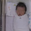 크래들산후조리원 | 급하게 이전한 용인/기흥 산후조리원 : 크래들 산후조리원 일반실 후기