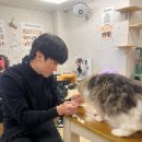 (주)집사의 하루 | [성남] 서현역 실내 데이트 추천! 유기묘 캣카페 ‘집사의 하루’ 분당점