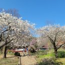 지리산로시난테하우스 이미지