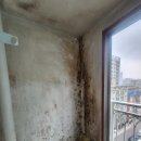 포근네스트빌 이미지