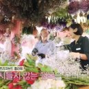 카페유효 네이버블로그