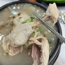 녹두 | 태평동맛집 삼계탕 맛집 녹두담삼계탕 후기