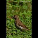 석천해장국 아구찜 이미지