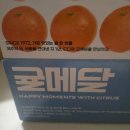 귤내음 | [식품] 귤메달 제주 한라봉 추천, 쿠팡 빠른 배송으로 만나는 고당도 과일 후기