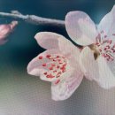 사무자동화산업기사_실기 이미지