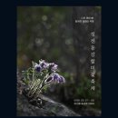 강원특별자치도 정선군 정선읍 행정복지센터 이미지