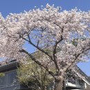 더 케이 무인 호텔 | 경주 더케이호텔 사우나 솔직 후기 (할인꿀팁,경주벚꽃 실시간)