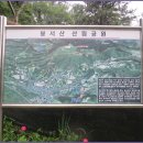 경기옛길 의주길 제4길 파주고을길 이미지