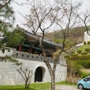 작원관지 이미지