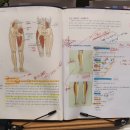 제네핏(Genefit) 이미지