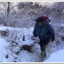 나무 조형물 이미지