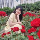 슈하이
