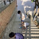 개미농장 2농장 이미지