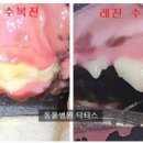 크라운 동물병원 이미지