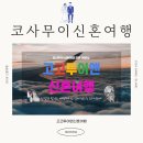 대흥여행사 | 코사무이 신혼여행 전문 여행사, 고고투어앤신혼여행 담당 토미 아저씨를 선택한 후기