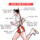 다리가 바빠야 장수(長壽)한다 이미지